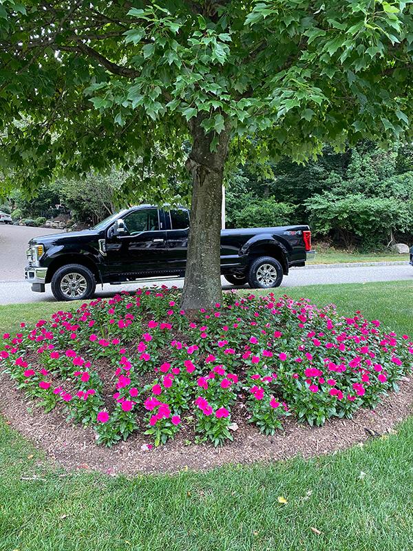 Synergy Landscape Design & Construction Bergen County NJ Landscape